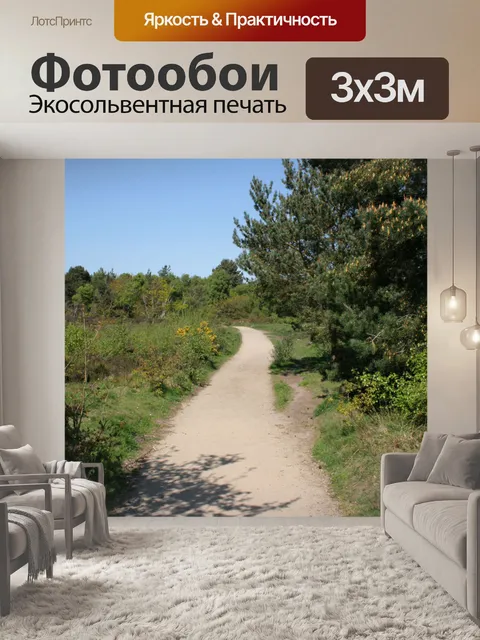 Фотообои Lonely Путь