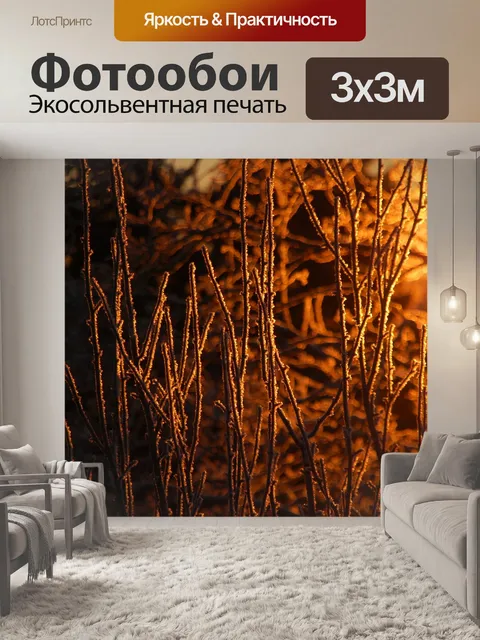 Фотообои Зима