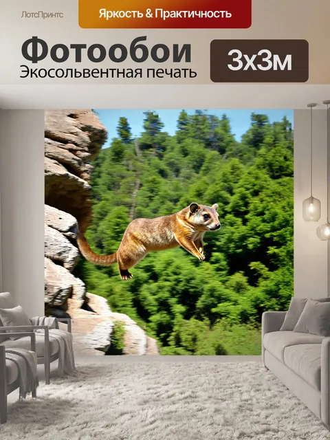 Фотообои даман, похожий на сурка, делает стремительный прыжок с гранитной скалы, отталкиваясь от её края