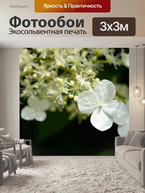 Фотообои Гортензия