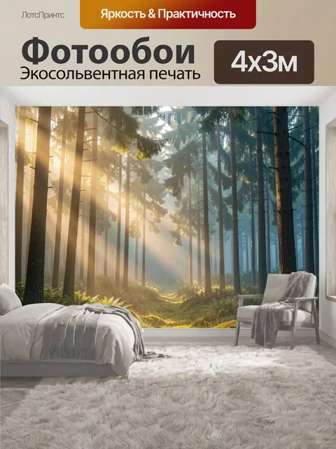 400 × 300 см · Экосольвентная печать