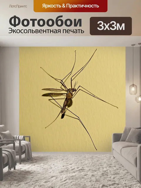 Фотообои Комаржица