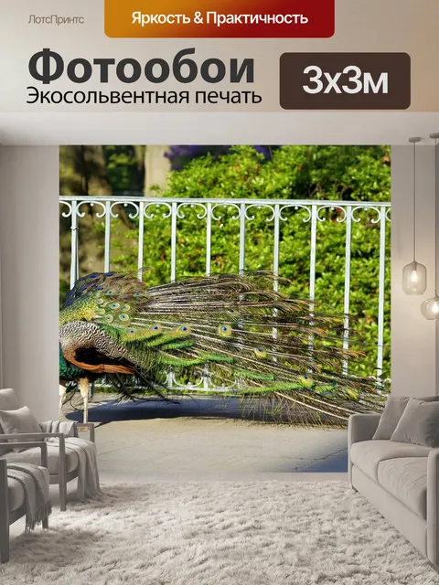 Фотообои Павлин
