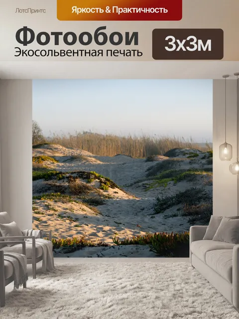 Фотообои Сан-Дюны и суккуленты