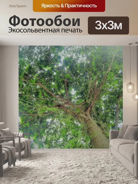 Фотообои Глядя на навес дерева с солнцем