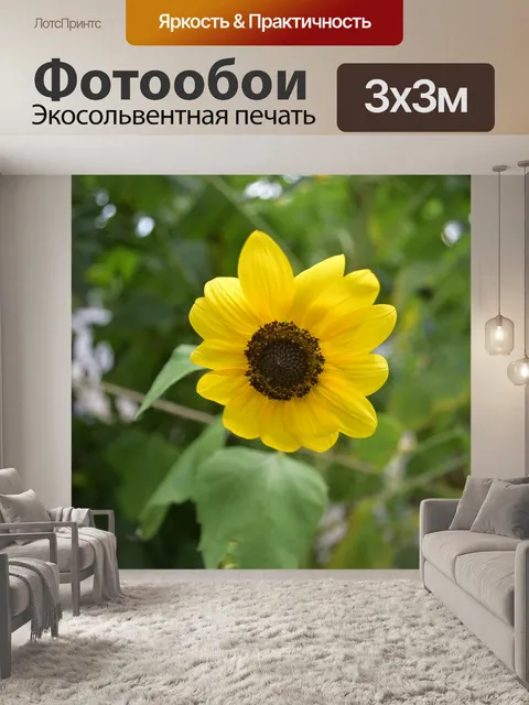 Фотообои Желтый