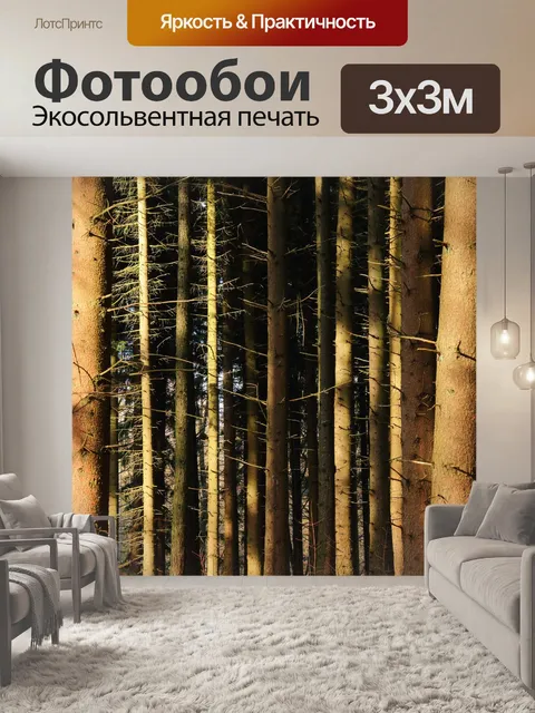 Фотообои Лес
