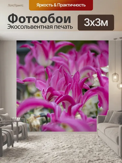 Фотообои тюльпаны