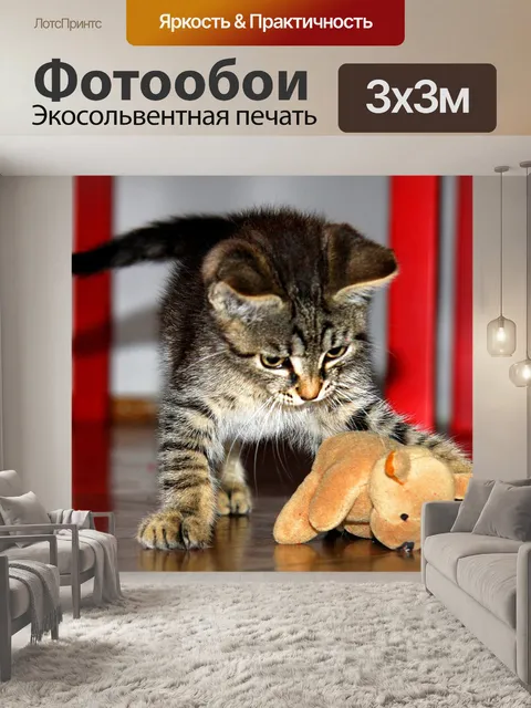 Фотообои Котенок