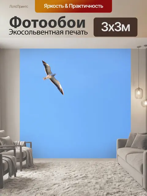 Фотообои Птица