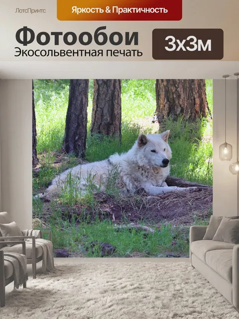 Фотообои Волк