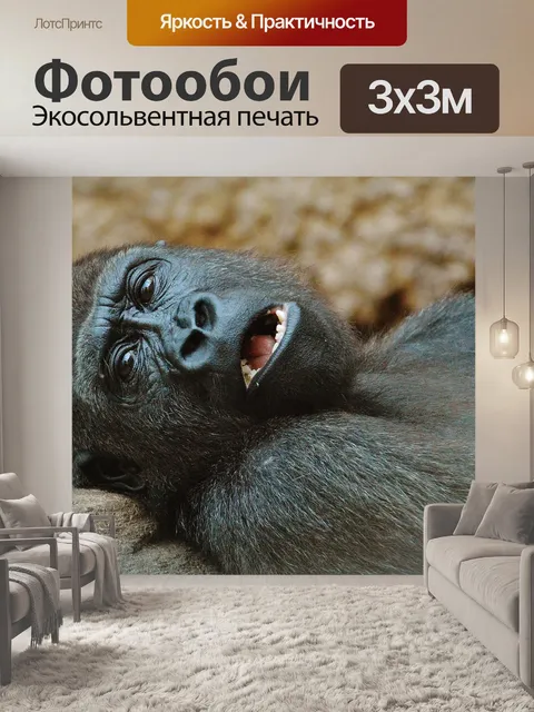 Фотообои Обезьяна
