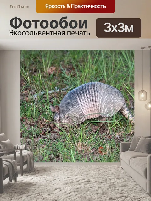 Фотообои Девятигранный армадилло