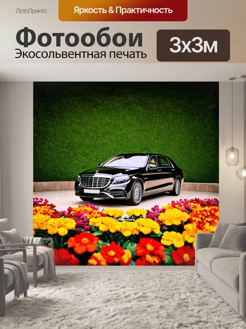 Фотообои на зеленом фоне ухоженного парка, mercedes-maybach выделяется своим блестящим кузовом