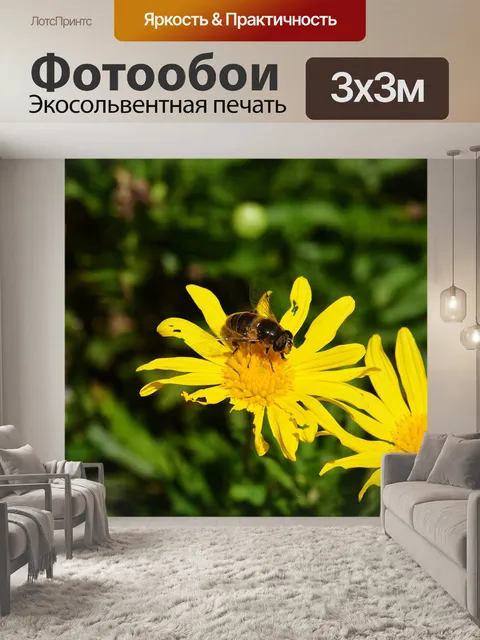 Фотообои Пчеловодство пчела