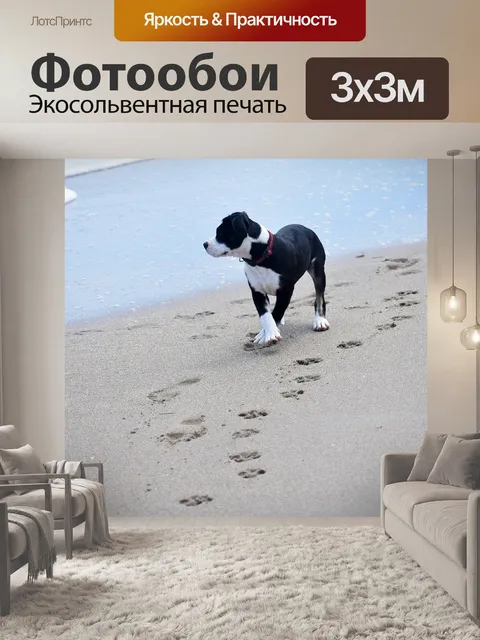 Фотообои Собака