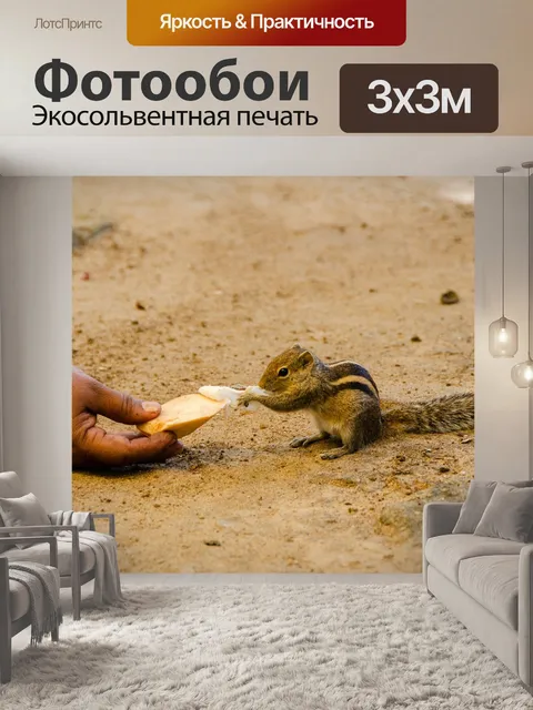 Фотообои Белка