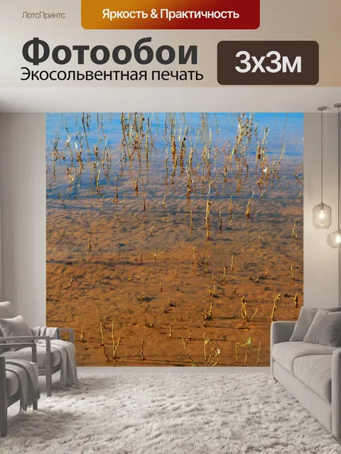 Фотообои Вода соответствует сорняков 111