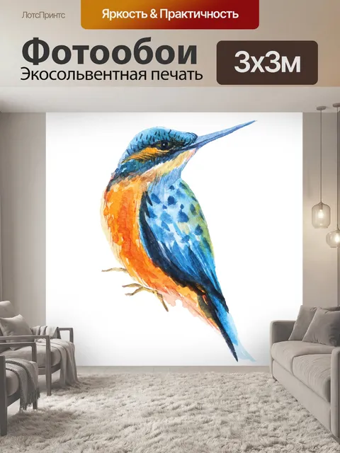 Фотообои Колибри акварель