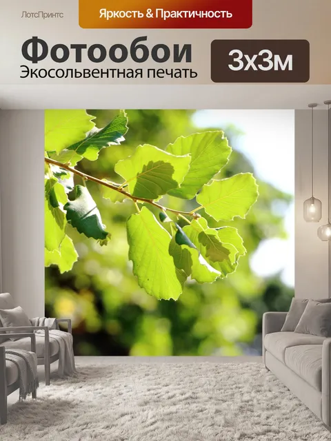 Фотообои Лист