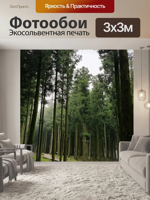 Фотообои Республика корея