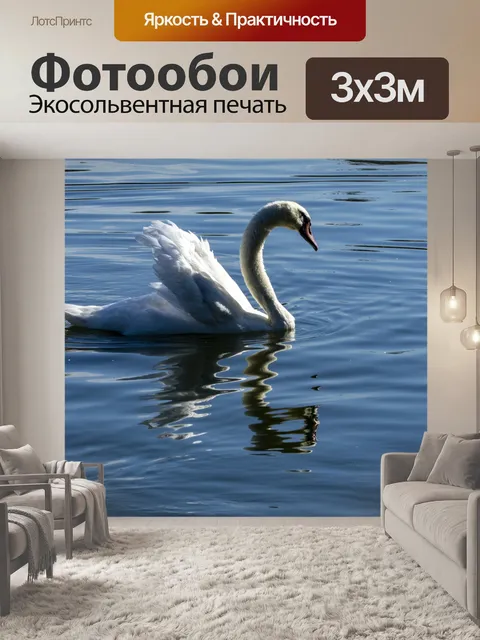 Фотообои лебедь