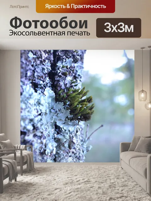 Фотообои Мусс