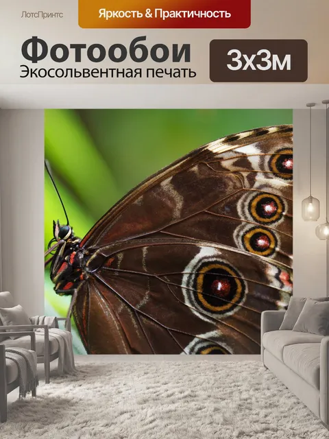 Фотообои Синий Morpho Butterfly