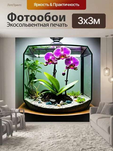 Фотообои орхидея, находящаяся в стеклянном террариуме, с мелкими растениями и камнями