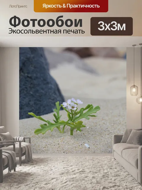 Фотообои Песок