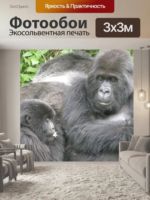 Фотообои Джунгли