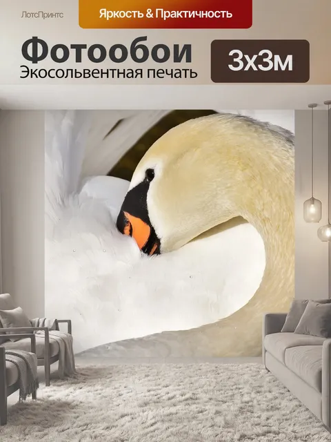 Фотообои Лебедь