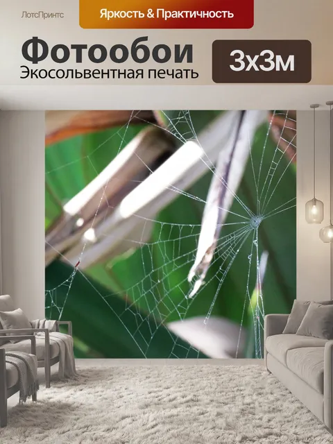 Фотообои закрыть вид паутины в саду