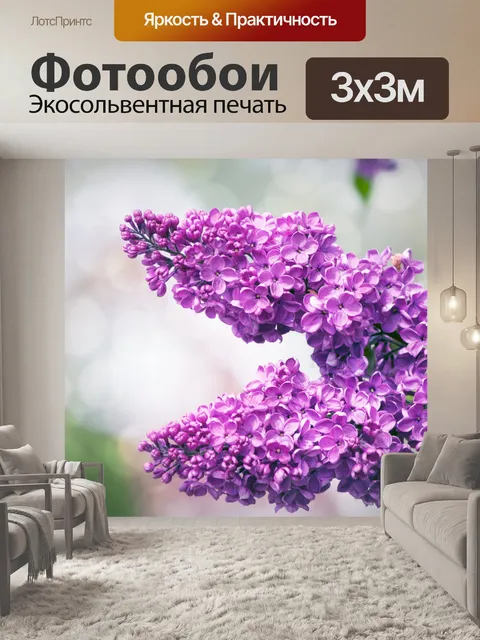 Фотообои Цветы сирени