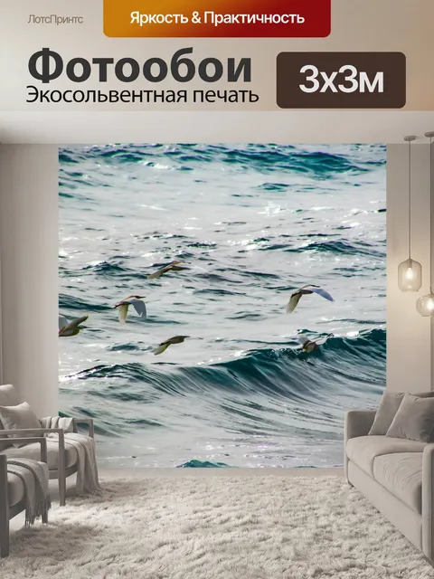 Фотообои Морских птиц