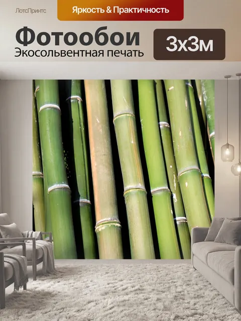 Фотообои Зеленый бамбук
