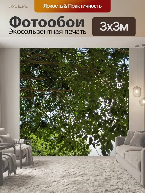 Фотообои белый Stinkwood дерево
