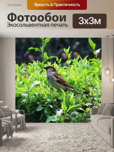 Фотообои Птица