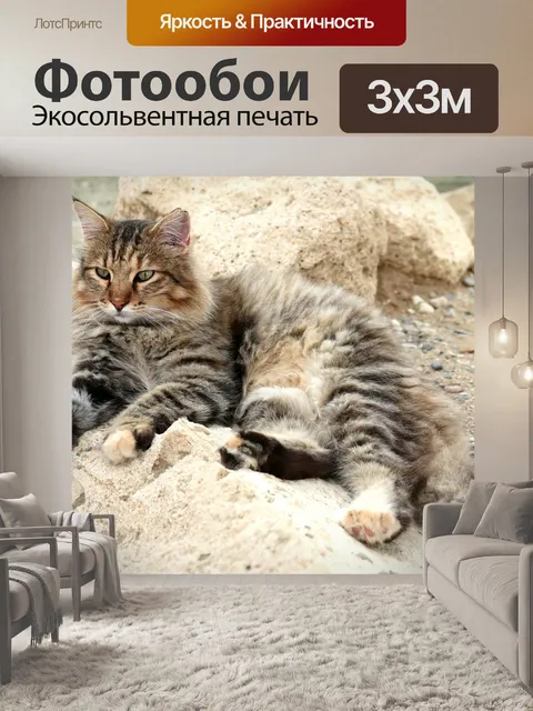 Фотообои Кот