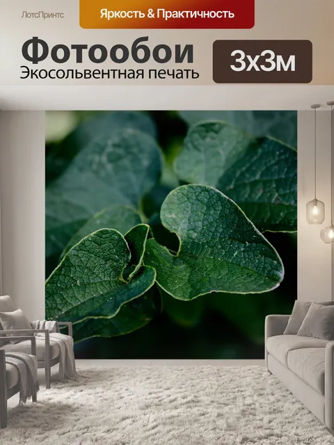 Фотообои Крупный план