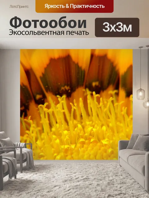 Фотообои Подсолнечник
