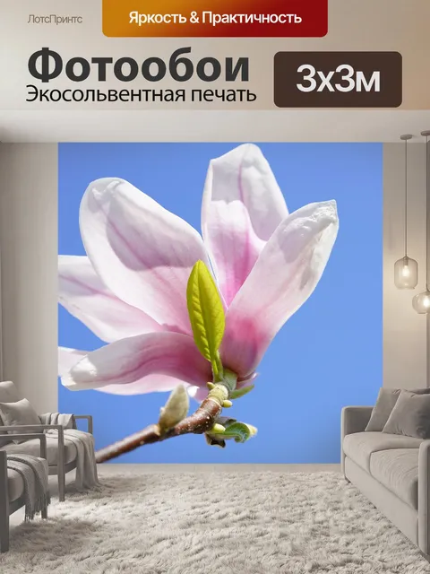 Фотообои Цветок магнолии
