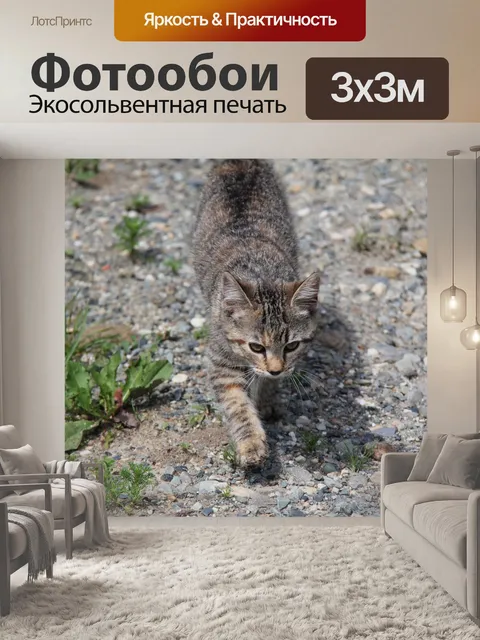 Фотообои Полосатая кошка