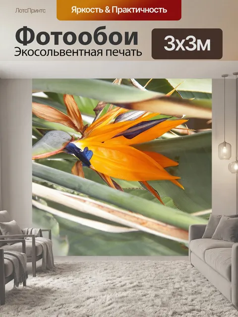 Фотообои Цветы