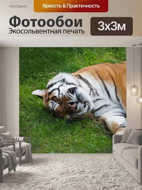 Фотообои Тигр