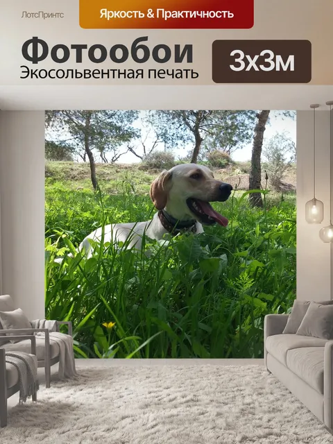Фотообои Облако
