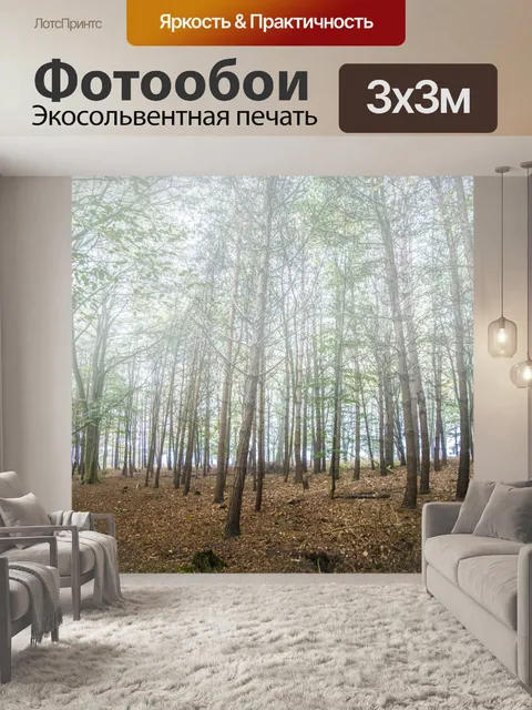 Фотообои Туманный лес