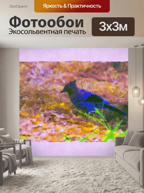 Фотообои Голубая сойка