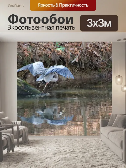 Фотообои Большая голубая цапля
