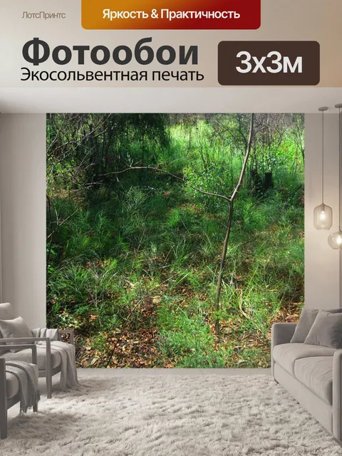 Фотообои стройные молодые деревья и зеленая трава